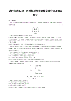 2022年（新教材）新高考生物一轮复习练习：课时规范练20　两对相对性状遗传实验分析及相关结论.docx