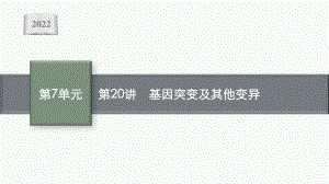 2022年（新教材）新高考生物一轮复习课件：第20讲　基因突变及其他变异.pptx