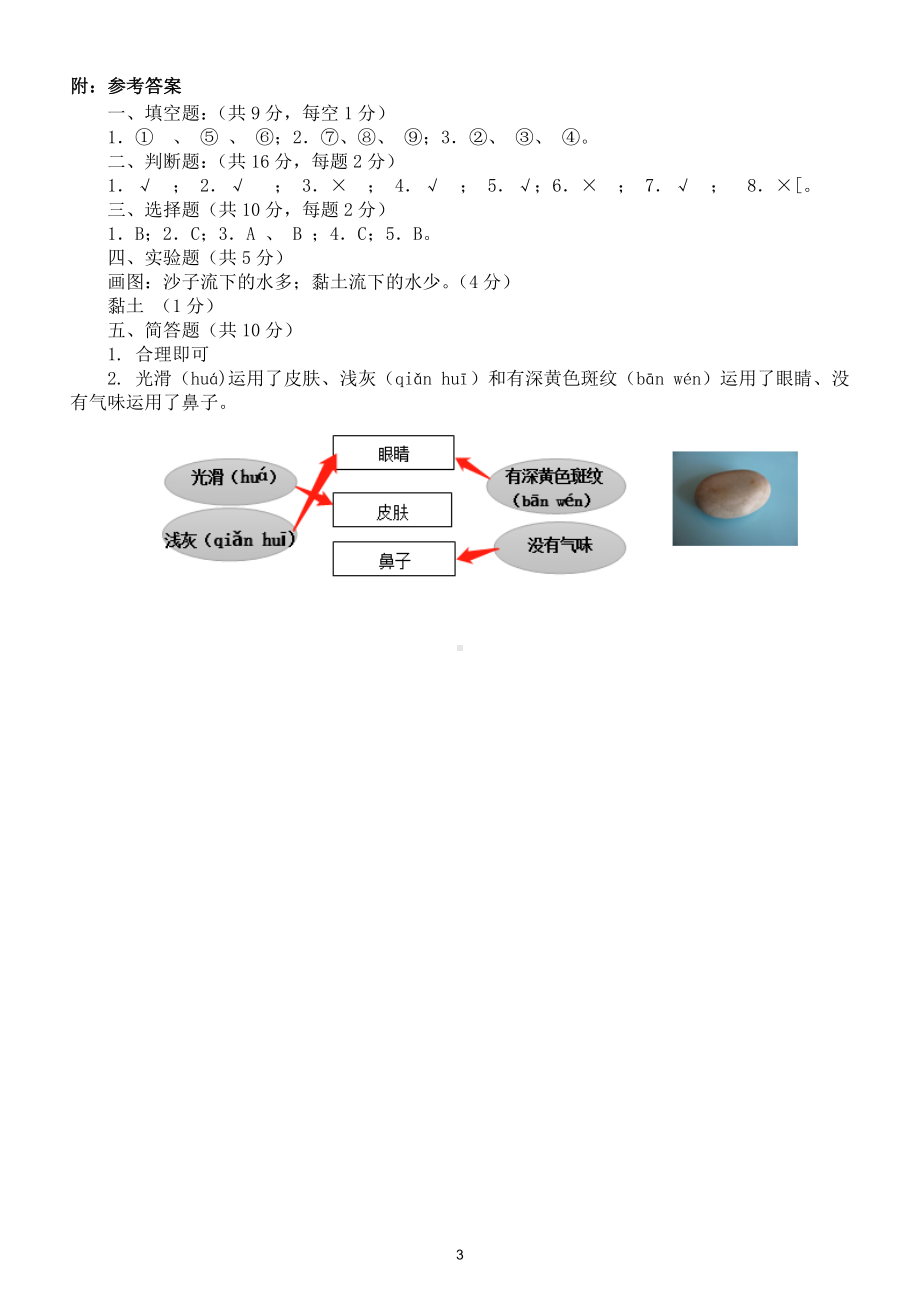 小学科学苏教版一年级下册第一单元《石头与泥土》检测题3.doc_第3页