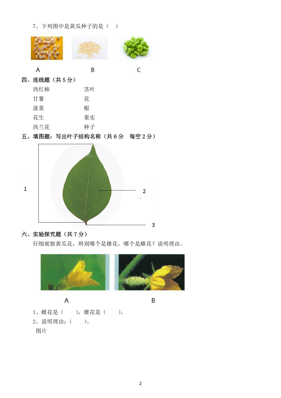 小学科学苏教版三年级下册第一单元《植物的一生》检测题3.doc_第2页