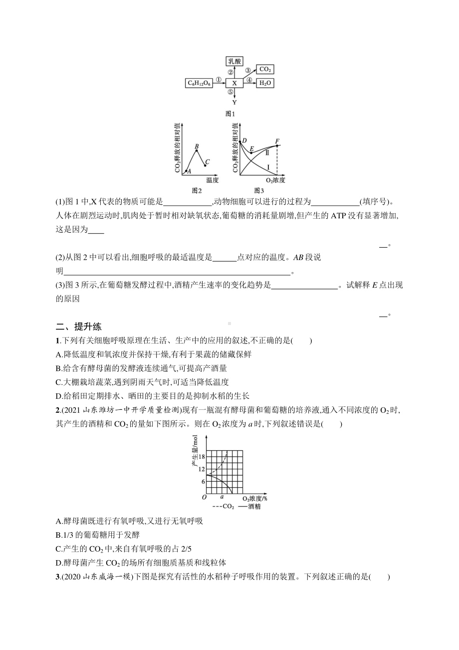 2022年（新教材）新高考生物一轮复习练习：课时规范练9　细胞呼吸的影响因素及应用　探究酵母菌细胞呼吸的方式.docx_第3页