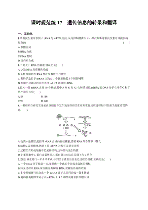 2022年（新教材）新高考生物一轮复习练习：课时规范练17　遗传信息的转录和翻译.docx