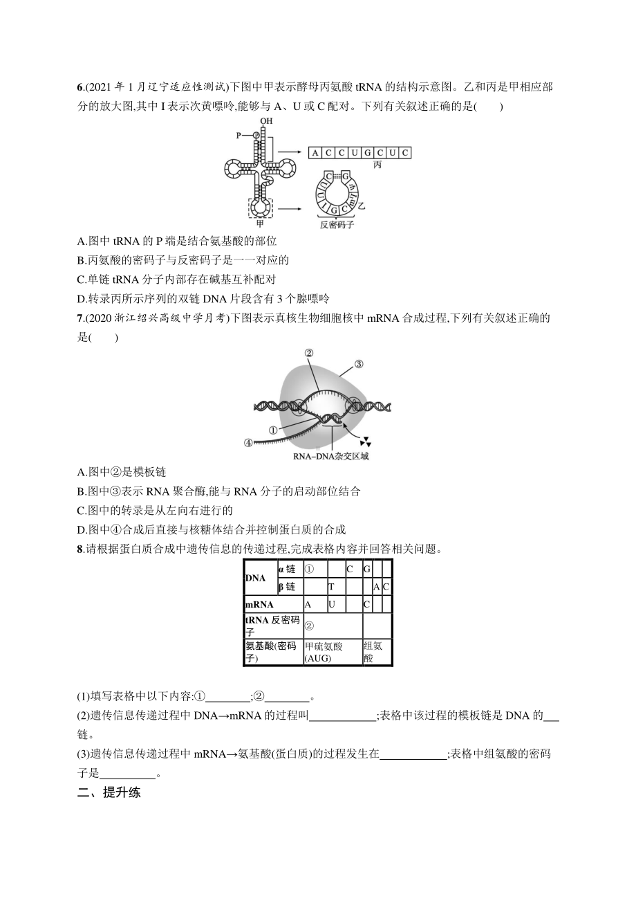 2022年（新教材）新高考生物一轮复习练习：课时规范练17　遗传信息的转录和翻译.docx_第2页