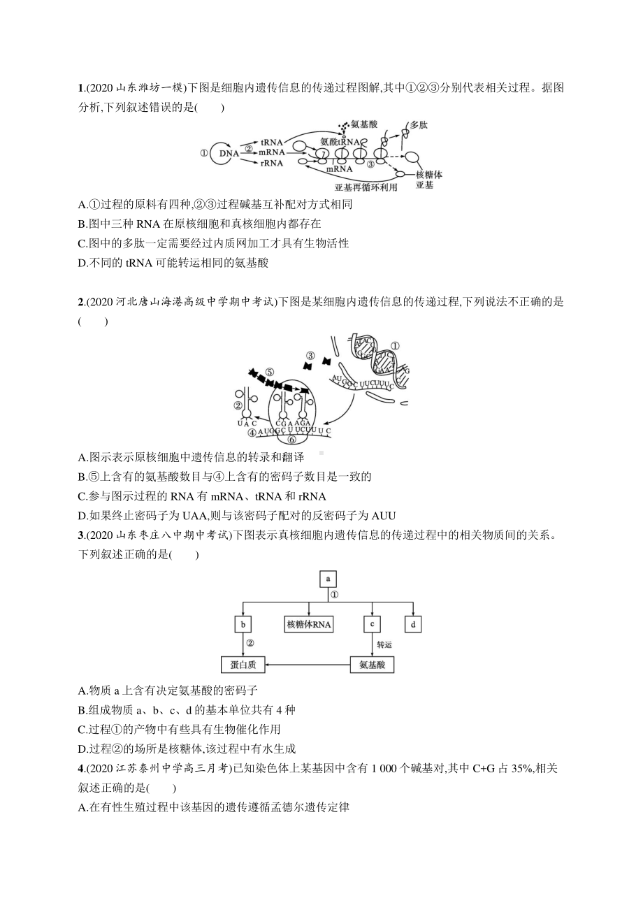 2022年（新教材）新高考生物一轮复习练习：课时规范练17　遗传信息的转录和翻译.docx_第3页