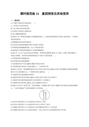 2022年（新教材）新高考生物一轮复习练习：课时规范练24　基因突变及其他变异.docx
