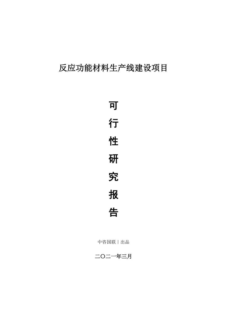 反应功能材料生产建设项目可行性研究报告.doc_第1页