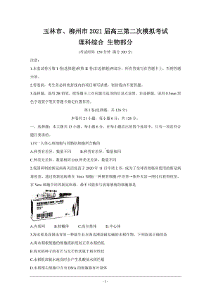 广西玉林市、柳州市2021届高三第二次模拟考试 生物 Word版含答.doc