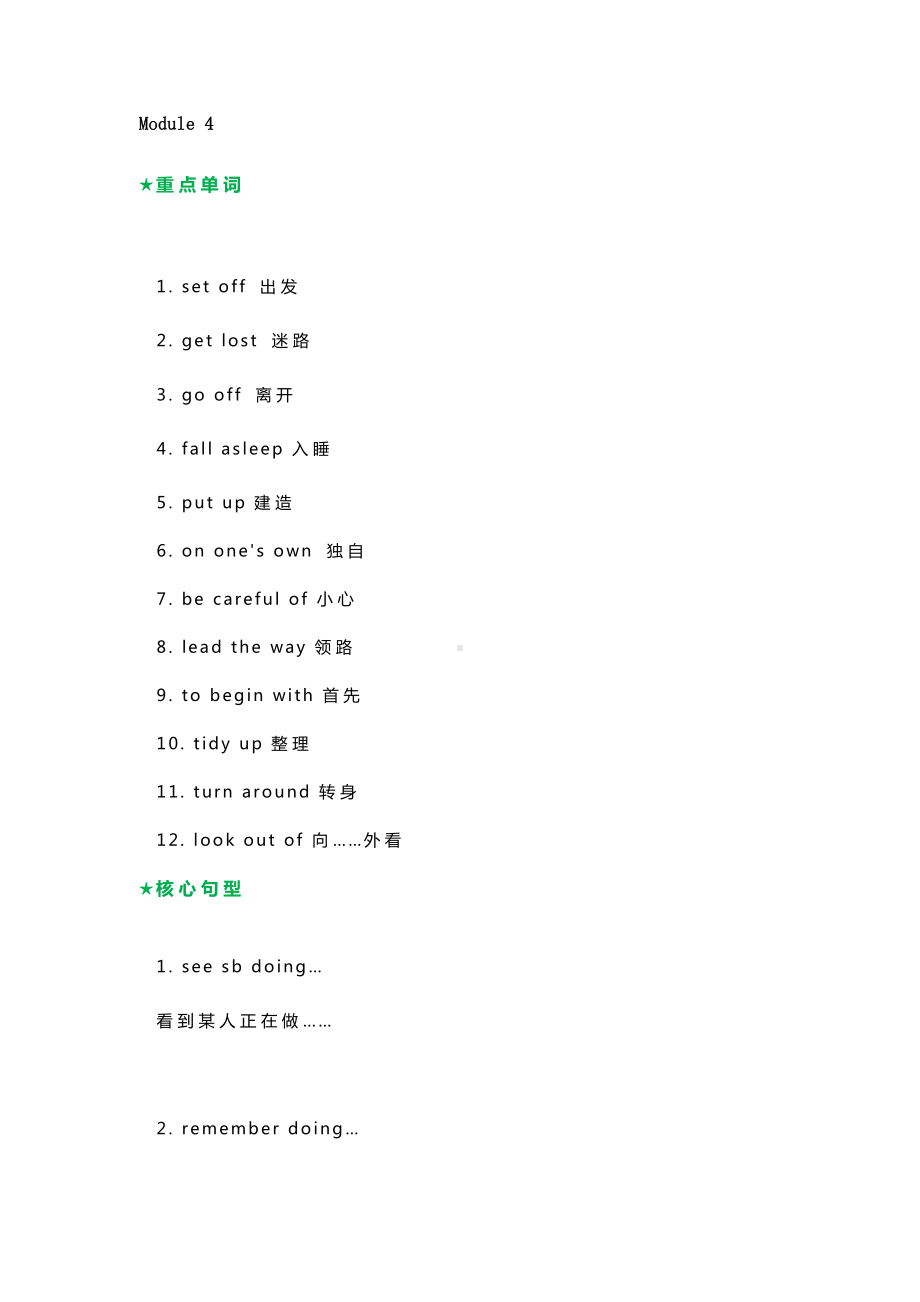 外研版九年级下册英语Module 4重点单词短语 + 句型 + 语法.doc_第1页