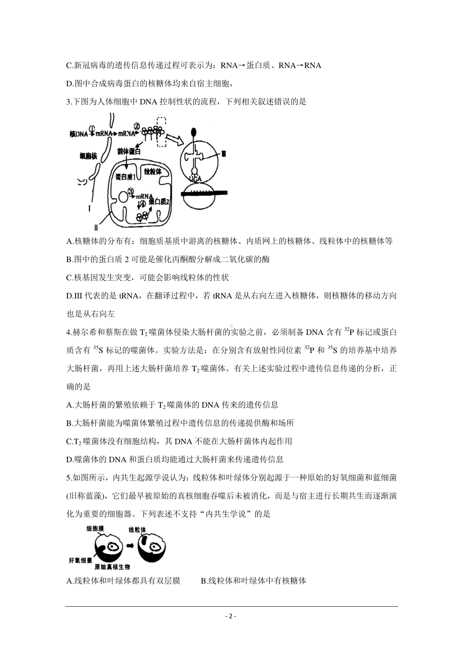 湖北省武汉市武昌区2021届高三1月质量检测 生物 Word版含答案.doc_第2页