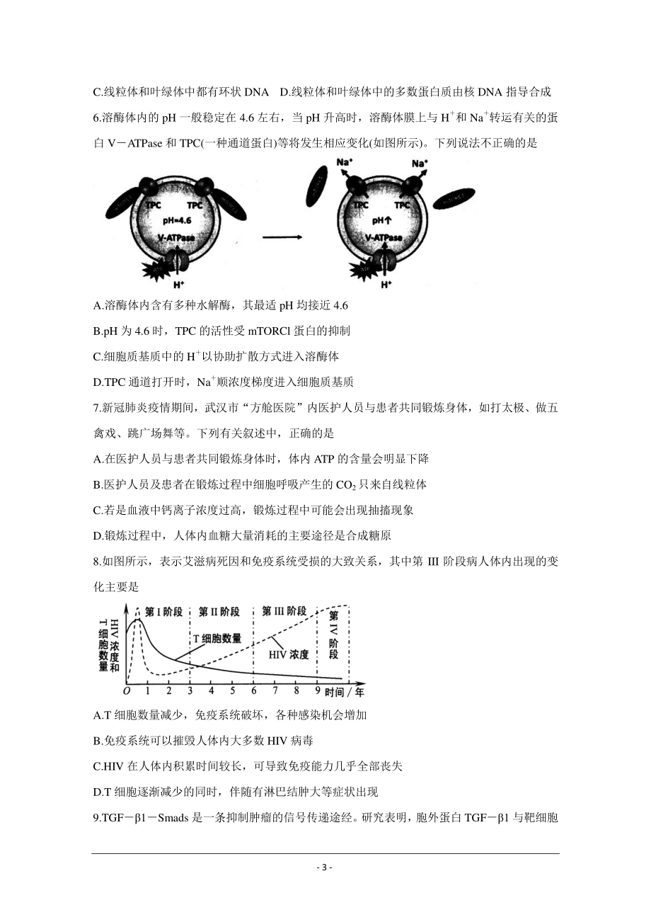 湖北省武汉市武昌区2021届高三1月质量检测 生物 Word版含答案.doc_第3页