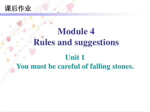 外研版九年级下册英语Module 4 课后作业ppt课件.ppt