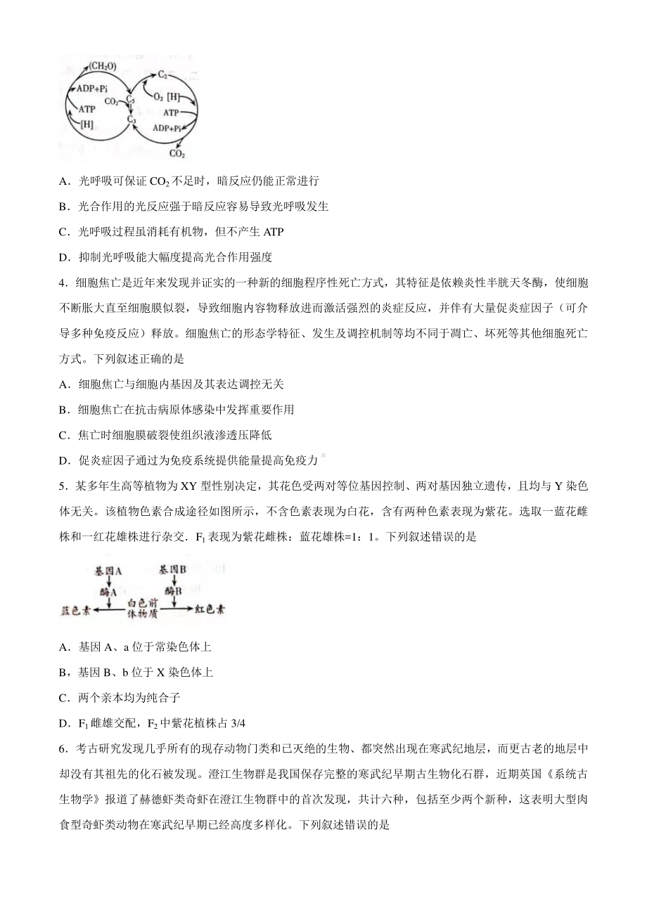 山东省潍坊市2021届高三下学期3月一模考试生物试题 Word版含答案.docx_第2页