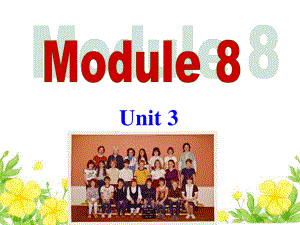 外研版九年级下册英语Module 8 Unit 3ppt课件.ppt