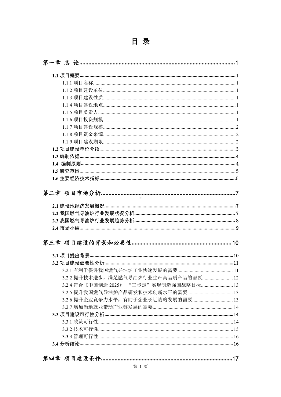 燃气导油炉生产建设项目可行性研究报告.doc_第2页