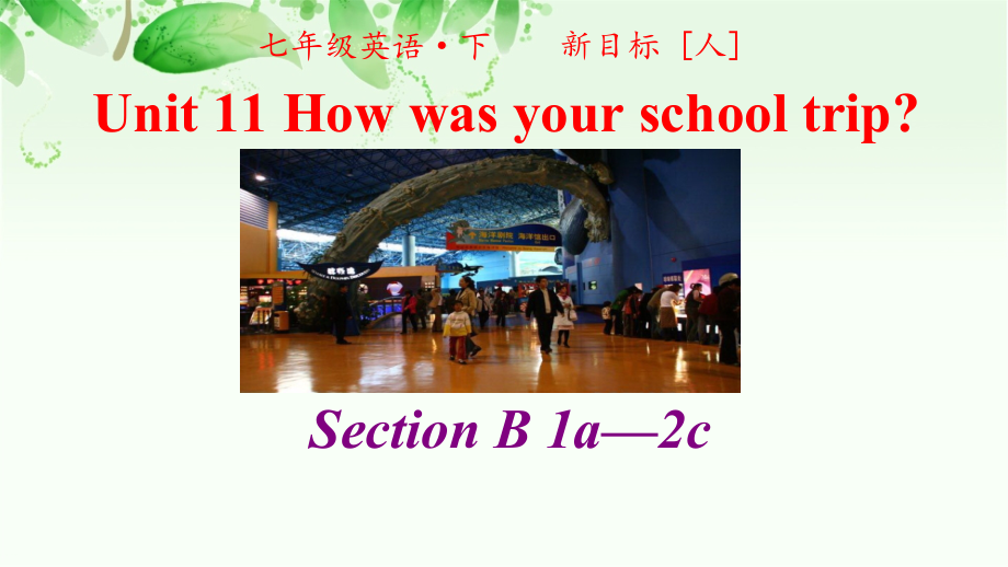 2020-2021学年人教版英语七年级下册：Unit 11 Section B 1a—2c-课件.zip