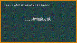 2021五四《制新青岛版二年级科学下册》第四单元《动物与环境》全部课件（共4课时）.pptx