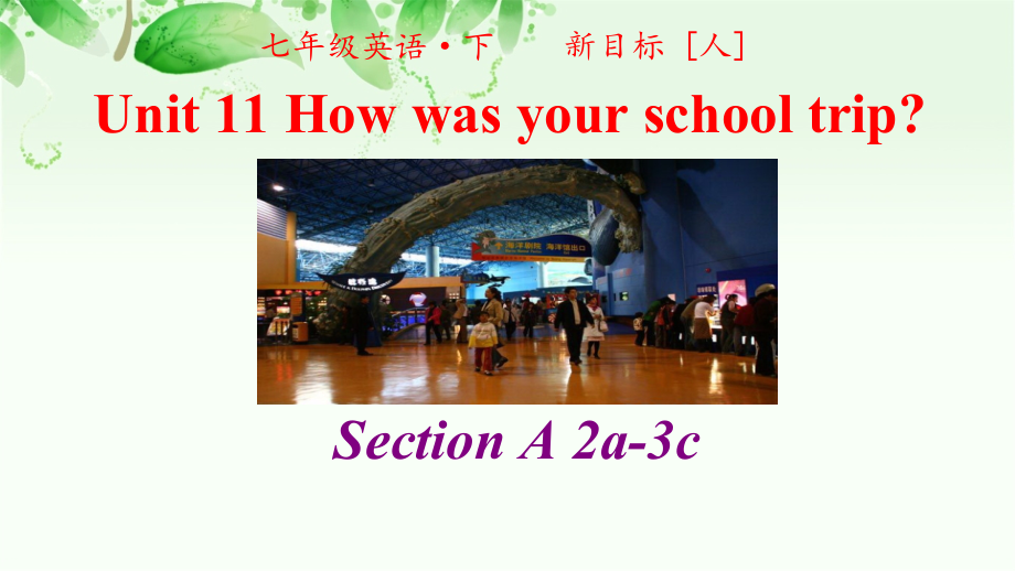 2020-2021学年人教版英语七年级下册：Unit 11 Section A 2a-3c-课件.zip