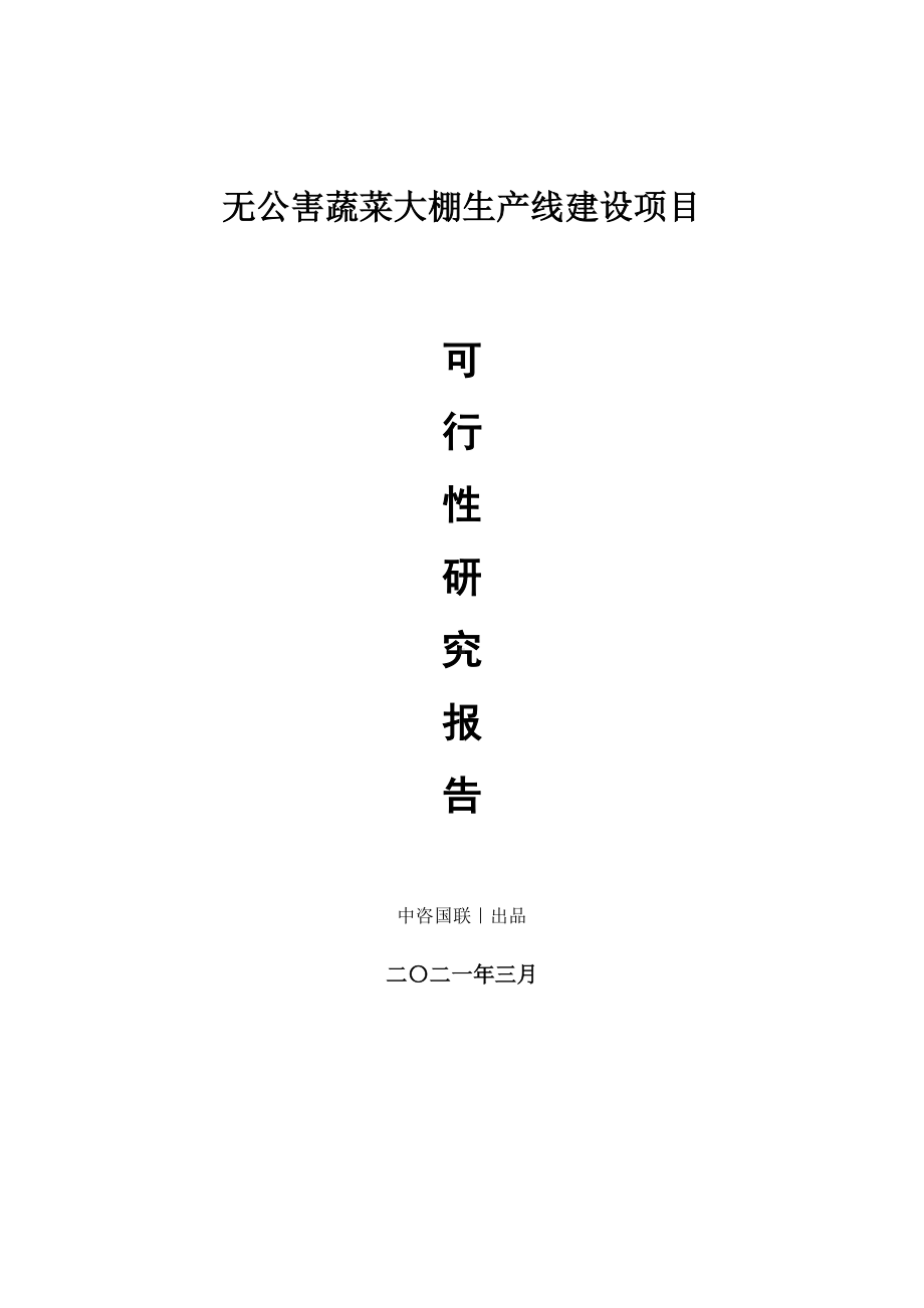 无公害蔬菜大棚生产建设项目可行性研究报告.doc_第1页