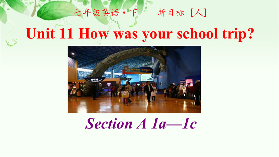 2020-2021学年人教版英语七年级下册：Unit 11 Section A 1a—1c-课件.zip