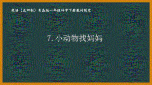 2021五四制新青岛版一年级科学下册7.《小动物找妈妈》课件.ppt