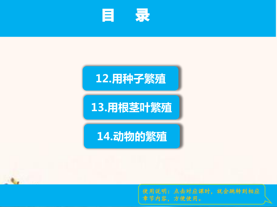 2021苏教版四年级科学（下）第四单元课件全套繁殖.pptx_第2页