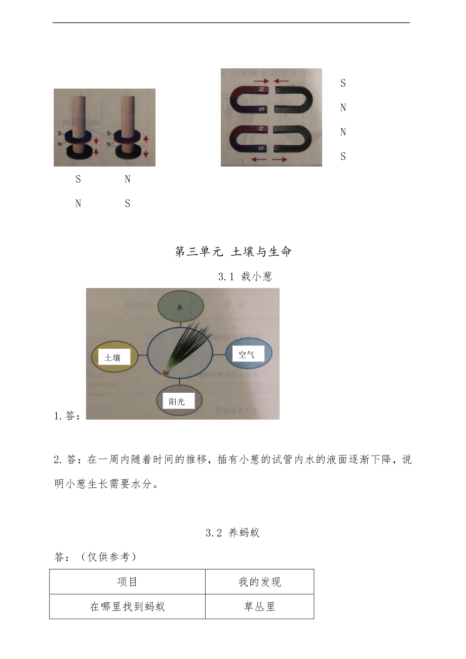 2021新苏教版二年级下册科学活动手册答案.doc_第3页