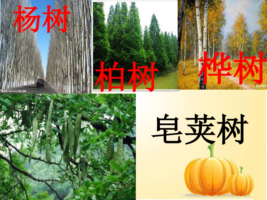 （课件）识字1数.ppt_第3页