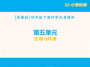 2021苏教版四年级科学（下）第五单元课件全套生物与环境.pptx