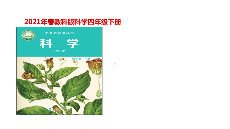 2021新教科版四年级下册科学2.8《模拟安装照明电路》ppt课件.pptx_第1页