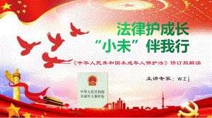 专家讲座）《中华人民共和国未成年人保护法》修订版解读.pptx