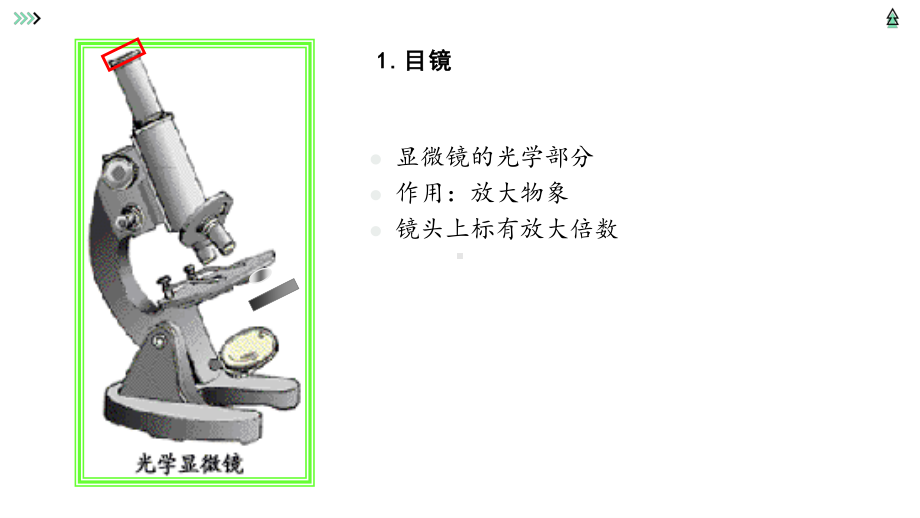 北京延庆区初中生物各主题总复习全部课件.pptx_第3页