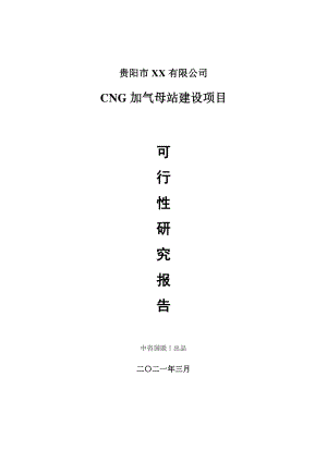 CNG加气母站建设项目可行性研究报告.doc