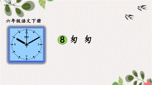 六年级语文下册课件：第3单元 8匆匆（部编版）(3).pptx