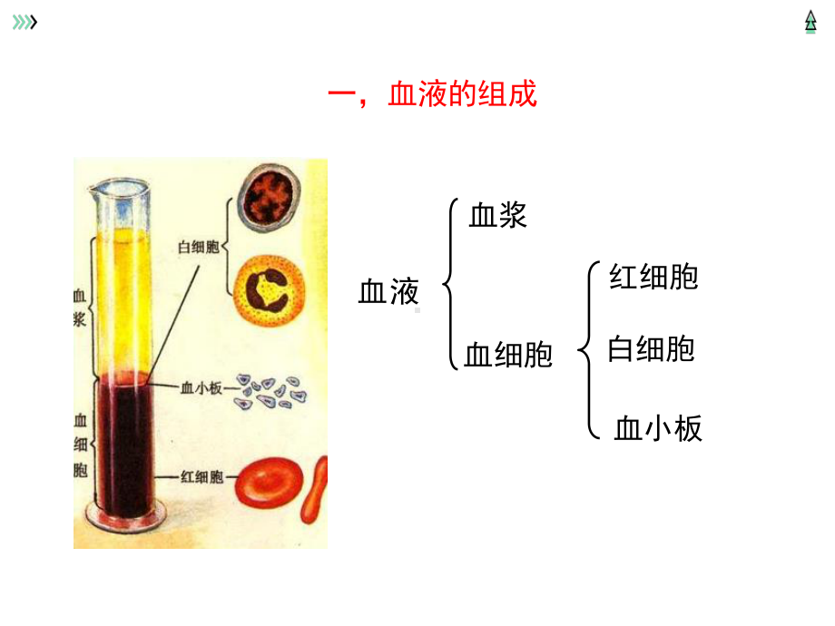 北京延庆区初中生物总复习主题四：生物圈的人（三四）.pptx_第3页