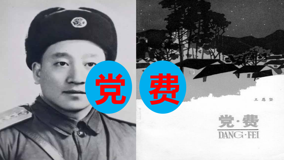 《党费》ppt课件（30页）.ppt_第1页