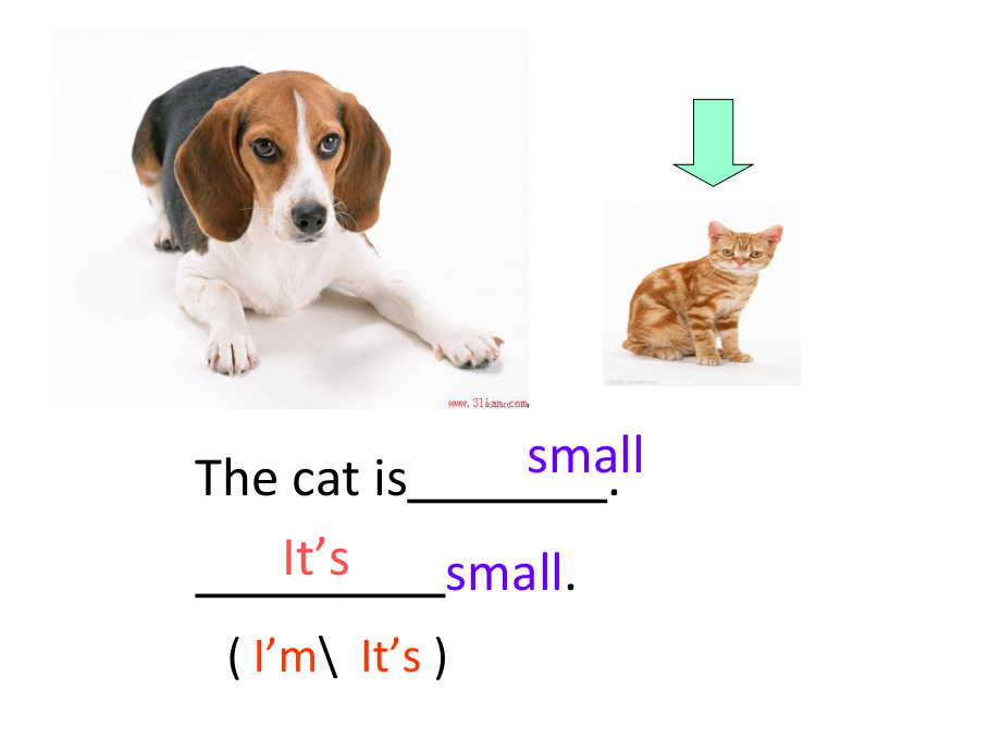 （广东）粤人版三下-Unit 1 Big or Small-Lesson 2-ppt课件-(含教案+视频)--(编号：013a6).zip