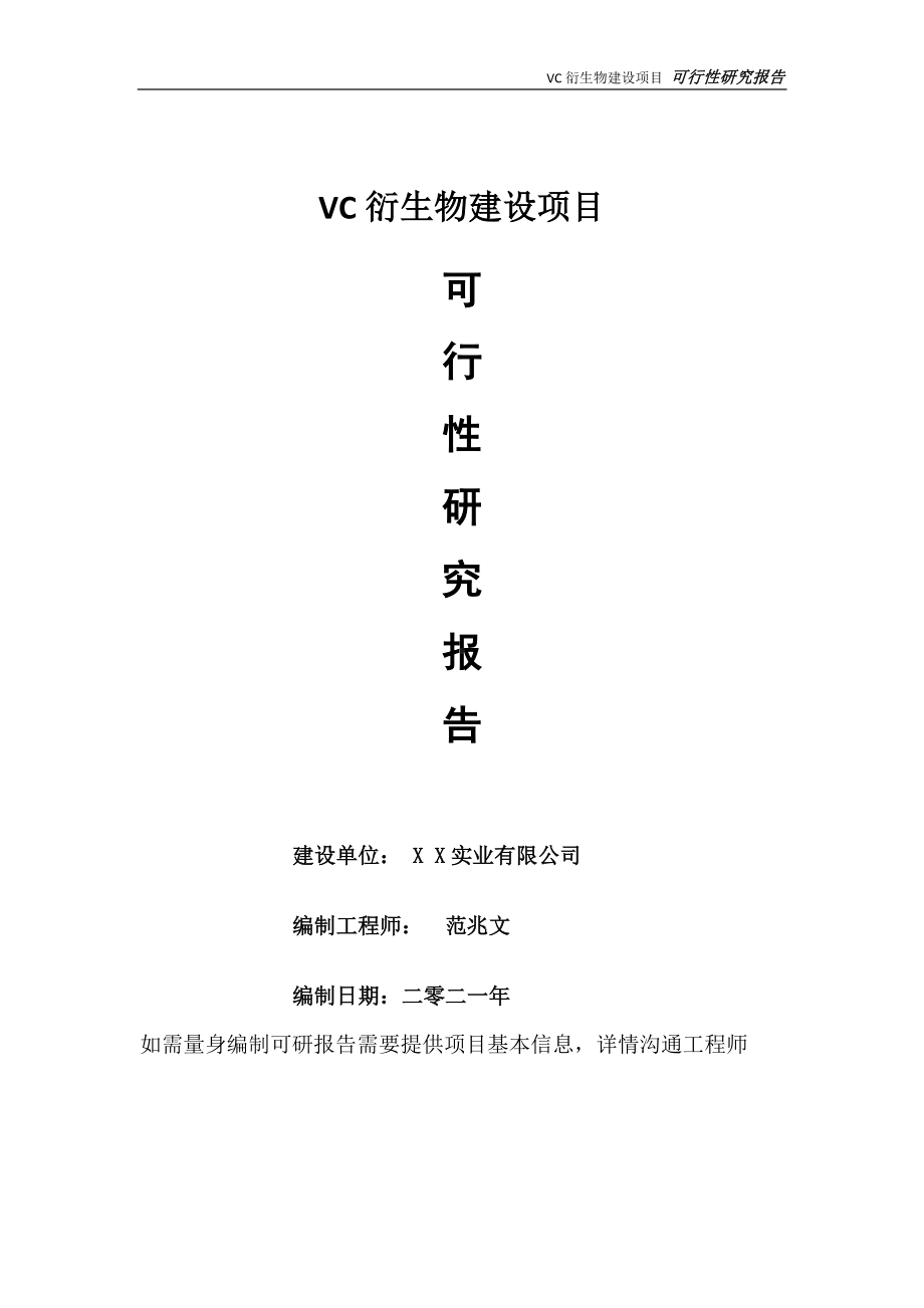 VC衍生物项目可行性研究报告-可参考案例-备案立项.doc_第1页