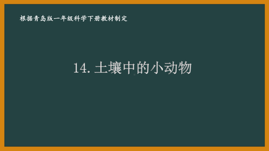 2021六三制新青岛版一年级科学下册第四单元14《土壤中的小动物》课件.pptx_第1页