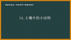 2021六三制新青岛版一年级科学下册第四单元14《土壤中的小动物》课件.pptx