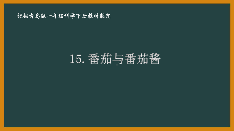 2021六三制新青岛版一年级科学下册第五单元15《番茄与番茄酱》课件.ppt_第1页