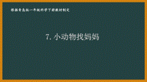 2021六三制新青岛版一年级科学下册第二单元7《小动物找妈妈》课件.ppt