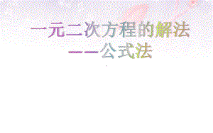 2020-2021学年沪科版数学八年级下册17.2：一元二次方程的解法(4)课件.pptx