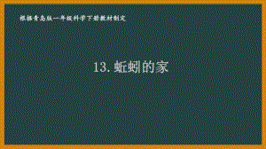 2021六三制新青岛版一年级科学下册第四单元13《蚯蚓的家》课件.pptx