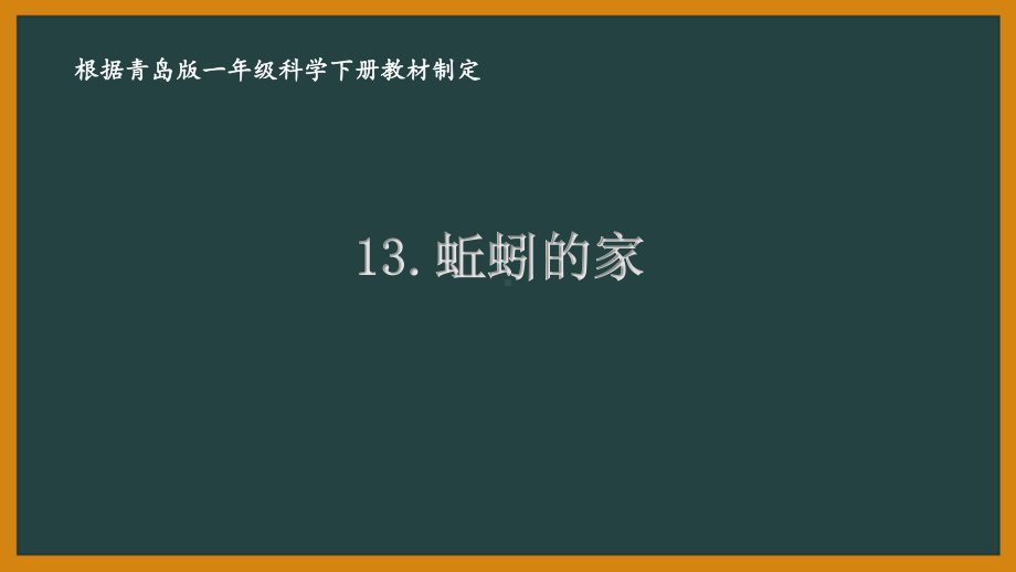 2021六三制新青岛版一年级科学下册第四单元13《蚯蚓的家》课件.pptx_第1页