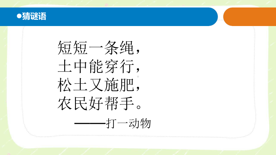 2021六三制新青岛版一年级科学下册第四单元13《蚯蚓的家》课件.pptx_第2页