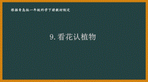 2021六三制新青岛版一年级科学下册第三单元9《看花认植物》 课件.ppt