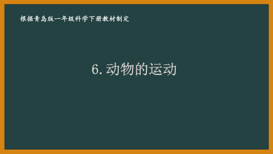 2021六三制新青岛版一年级科学下册第二单元6《.动物的运动》课件.ppt_第1页