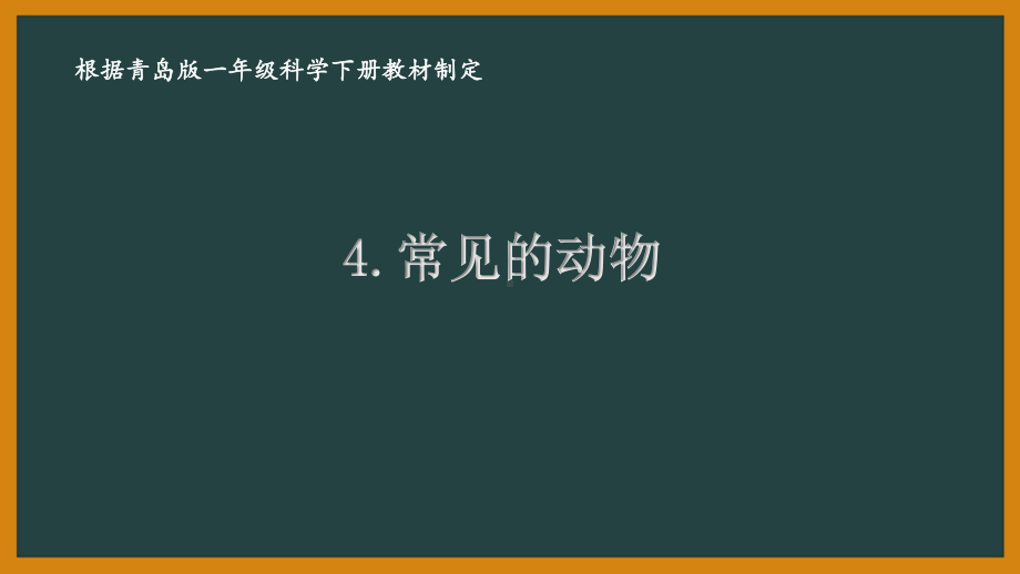 2021六三制《新青岛版一年级科学下册》第二单元《认识周围的动物》全部课件（共4课时）.pptx_第1页