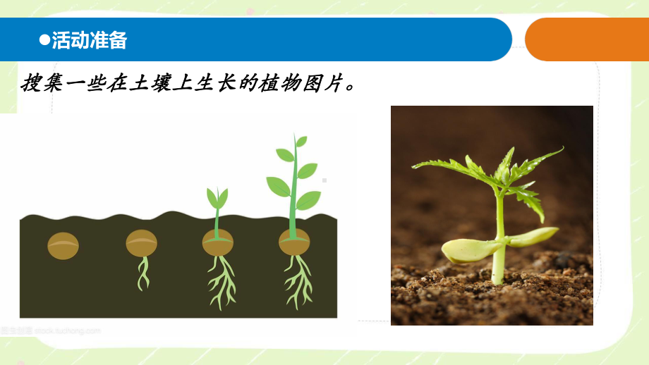 2021六三制《新青岛版一年级科学下册》第四单元《土壤与动植物》全部课件（共3课时）.pptx_第2页