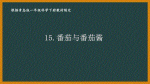 2021六三制《新青岛版一年级科学下册》第五单元《我们的产品》全部课件（共2课时）.pptx